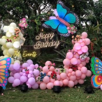 butterfly theme decoration (1)
